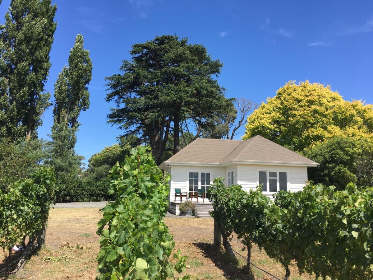 Tuki Vineyard Cottage Havelock North Exterior foto